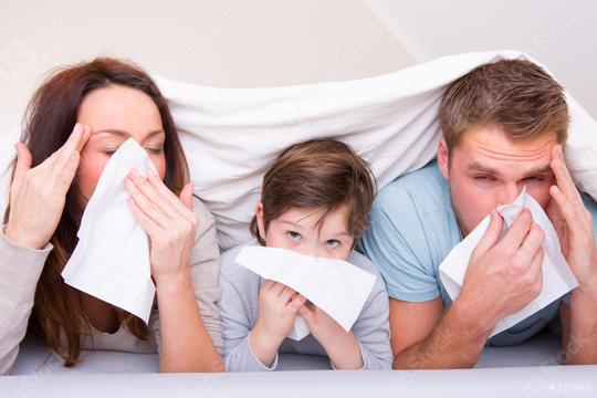 Family of three under a blanket, appearing sick and using tissues, illustrating cold or flu symptoms, with the mother, father, and child showing signs of illness in a home environment  : Stock Photo or Stock Video Download rcfotostock photos, images and assets rcfotostock | RC Photo Stock.: