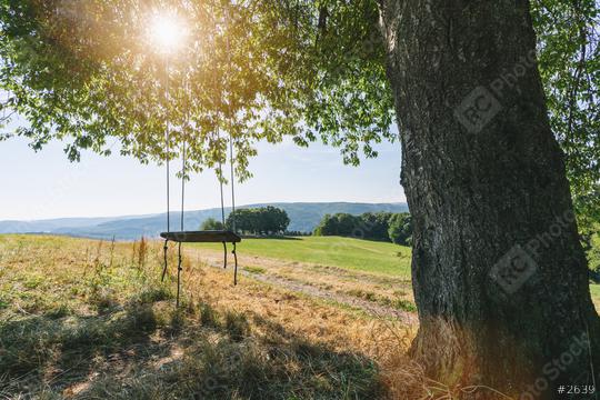 fantastic big tree with swing on green field at summer  : Stock Photo or Stock Video Download rcfotostock photos, images and assets rcfotostock | RC Photo Stock.: