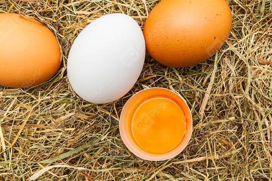 Farm eggs  : Stock Photo or Stock Video Download rcfotostock photos, images and assets rcfotostock | RC Photo Stock.: