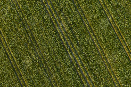 Farmland from above - aerial image of a lush green filed - view from a drone  : Stock Photo or Stock Video Download rcfotostock photos, images and assets rcfotostock | RC Photo Stock.: