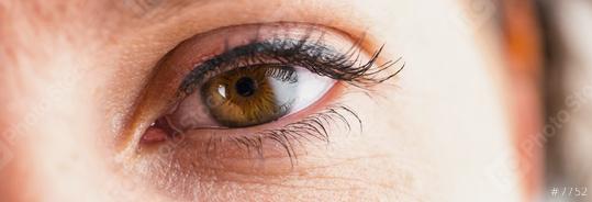 Female eye with eyelashes close-up  : Stock Photo or Stock Video Download rcfotostock photos, images and assets rcfotostock | RC Photo Stock.: