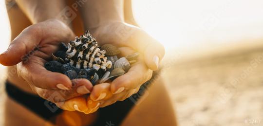 Female hands holding a shells on Tropical Beach with sand at sunset  : Stock Photo or Stock Video Download rcfotostock photos, images and assets rcfotostock | RC Photo Stock.: