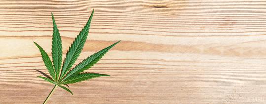 female Marijuana leaf on wooden background. banner size, copyspace for your individual text.  : Stock Photo or Stock Video Download rcfotostock photos, images and assets rcfotostock | RC Photo Stock.: