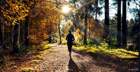 Female Runner in Silent Forest in spring with beautiful bright sun rays  : Stock Photo or Stock Video Download rcfotostock photos, images and assets rcfotostock | RC Photo Stock.: