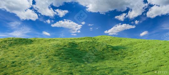 field with blue sky panorama - 3D Rendering  : Stock Photo or Stock Video Download rcfotostock photos, images and assets rcfotostock | RC Photo Stock.: