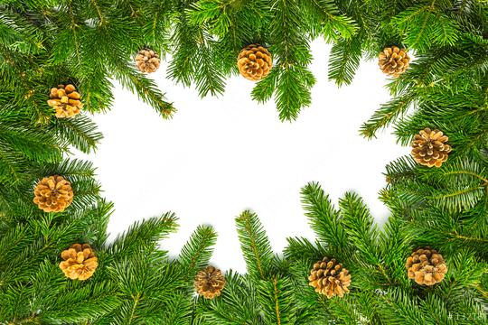 fir branches background with pine cones  : Stock Photo or Stock Video Download rcfotostock photos, images and assets rcfotostock | RC Photo Stock.: