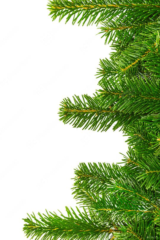 fir branches chistmas background  : Stock Photo or Stock Video Download rcfotostock photos, images and assets rcfotostock | RC Photo Stock.: