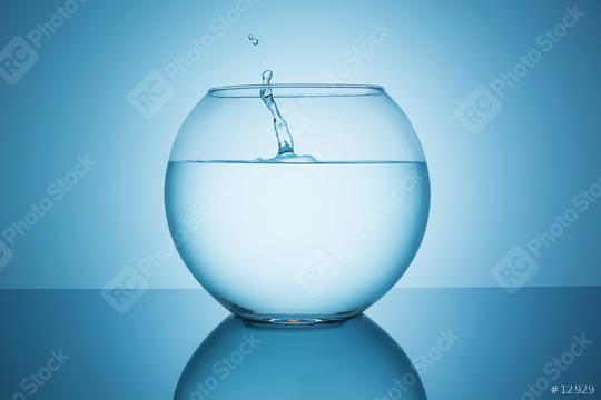 fishbowl with water splash  : Stock Photo or Stock Video Download rcfotostock photos, images and assets rcfotostock | RC Photo Stock.: