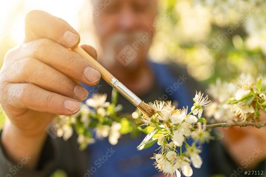 Focused image of a man