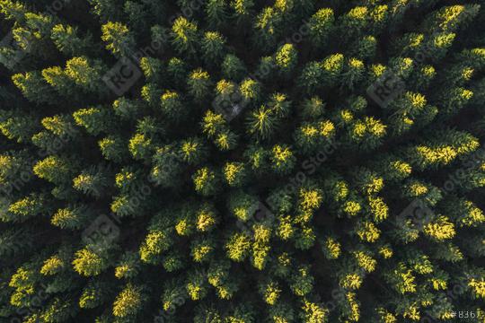 forest aerial drone view  : Stock Photo or Stock Video Download rcfotostock photos, images and assets rcfotostock | RC-Photo-Stock.: