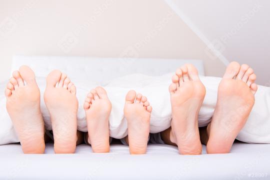 Four pairs of feet, two adult and two child, sticking out from under a white blanket in bed, symbolizing family bonding, comfort, relaxation, and togetherness in a cozy setting  : Stock Photo or Stock Video Download rcfotostock photos, images and assets rcfotostock | RC Photo Stock.: