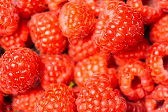 Fresh and sweet raspberries background or backdrop  : Stock Photo or Stock Video Download rcfotostock photos, images and assets rcfotostock | RC Photo Stock.: