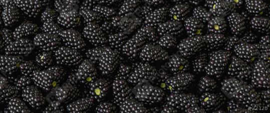 fresh Blackberries on a market  : Stock Photo or Stock Video Download rcfotostock photos, images and assets rcfotostock | RC Photo Stock.: