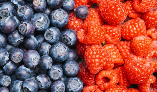 Fresh blueberries and raspberrys background or backdrop. Vegan and vegetarian concept. Macro texture of blueberry and raspberry berries. Summer healthy food.   : Stock Photo or Stock Video Download rcfotostock photos, images and assets rcfotostock | RC Photo Stock.: