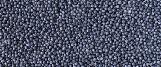 Fresh blueberries background with copy space for your text.Vegan and vegetarian concept. Summer healthy food, Banner size  : Stock Photo or Stock Video Download rcfotostock photos, images and assets rcfotostock | RC Photo Stock.: