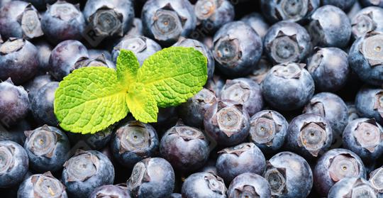 Fresh blueberries with mint leaf background or backdrop. Vegan and vegetarian concept. Macro texture of blueberry berries. Summer healthy food.   : Stock Photo or Stock Video Download rcfotostock photos, images and assets rcfotostock | RC Photo Stock.: