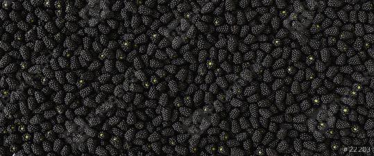 Fresh ripe blackberries as background, top view, banner Size  : Stock Photo or Stock Video Download rcfotostock photos, images and assets rcfotostock | RC Photo Stock.: