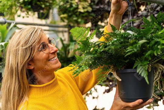 Friendly woman hangs up a flower pot with a green fern in the garden center to take a closer look it would fit into her apartment. Shopping in a greenhouse concept image  : Stock Photo or Stock Video Download rcfotostock photos, images and assets rcfotostock | RC Photo Stock.: