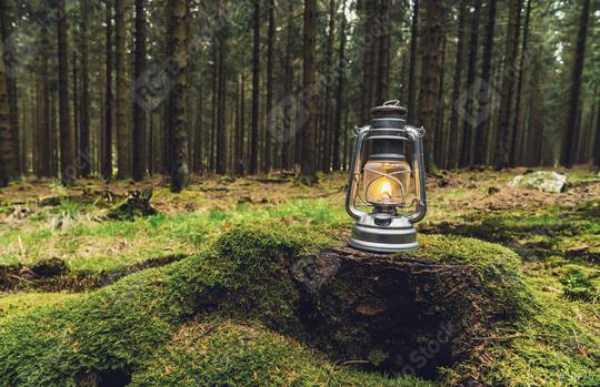 Gasoline lantern standing on a tree trunk in the deep forest, Hiker Concept image, copyspace for your individual text.   : Stock Photo or Stock Video Download rcfotostock photos, images and assets rcfotostock | RC Photo Stock.: