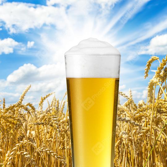 German beer  : Stock Photo or Stock Video Download rcfotostock photos, images and assets rcfotostock | RC Photo Stock.: