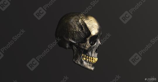 Golden Human Skull side view Pirate Poison Horror Symbol Halloween Medical. Anatomy and medicine concept image.  : Stock Photo or Stock Video Download rcfotostock photos, images and assets rcfotostock | RC Photo Stock.:
