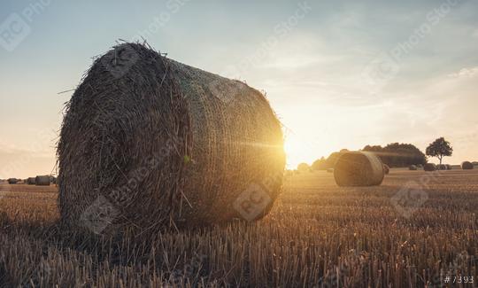 Golden sunset over farm field with hay bales  : Stock Photo or Stock Video Download rcfotostock photos, images and assets rcfotostock | RC Photo Stock.: