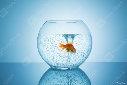Goldfish flees for a tornado in a fishbowl  : Stock Photo or Stock Video Download rcfotostock photos, images and assets rcfotostock | RC-Photo-Stock.: