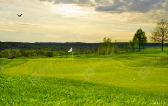 Golf putting green  : Stock Photo or Stock Video Download rcfotostock photos, images and assets rcfotostock | RC Photo Stock.: