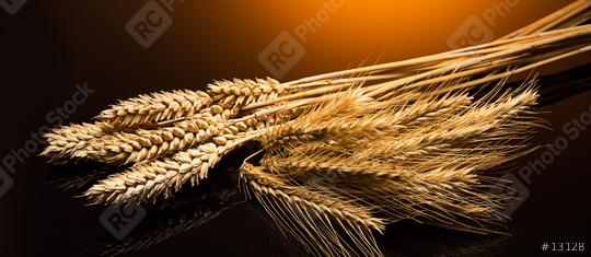 grain varieties  : Stock Photo or Stock Video Download rcfotostock photos, images and assets rcfotostock | RC Photo Stock.: