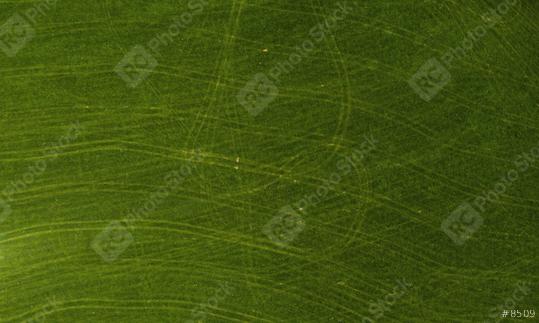 Green  meadow in the field, top view with a drone. Texture of meadow green background   : Stock Photo or Stock Video Download rcfotostock photos, images and assets rcfotostock | RC Photo Stock.: