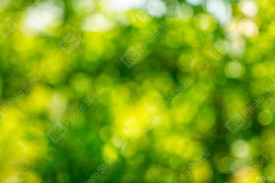 green bokeh background, green abstract Defocused bokeh   : Stock Photo or Stock Video Download rcfotostock photos, images and assets rcfotostock | RC Photo Stock.: