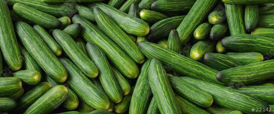 Green cucumbers on shelf in supermarket. Organic eating. Agriculture retailer. Farmer