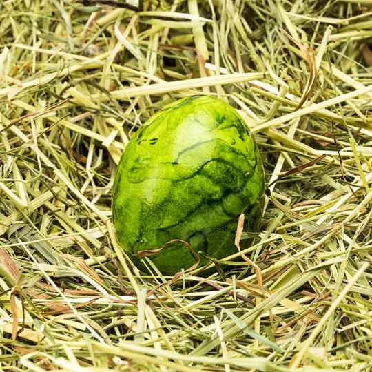 green easter egg lies in hay  : Stock Photo or Stock Video Download rcfotostock photos, images and assets rcfotostock | RC Photo Stock.:
