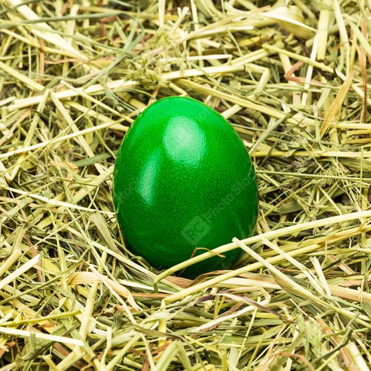 green easter egg on hay  : Stock Photo or Stock Video Download rcfotostock photos, images and assets rcfotostock | RC Photo Stock.: