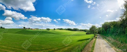 Green field with trees and blue sky. Panoramic view to grass, trees and  flowers on the hill on sunny spring day Stock Photo and Buy images at  rcfotostock this photo and find