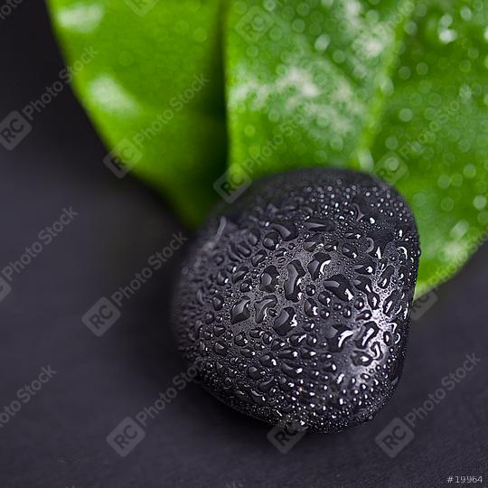 Green leaf and Black Stone with water drops  : Stock Photo or Stock Video Download rcfotostock photos, images and assets rcfotostock | RC Photo Stock.: