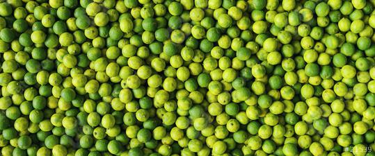 green lemons limes as a background, banner size  : Stock Photo or Stock Video Download rcfotostock photos, images and assets rcfotostock | RC Photo Stock.: