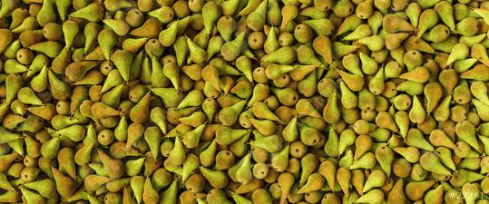 green Pears as a background, banner size  : Stock Photo or Stock Video Download rcfotostock photos, images and assets rcfotostock | RC Photo Stock.: