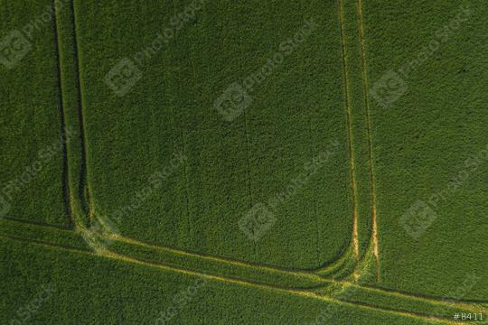 Green Wheat Field, drone shot  : Stock Photo or Stock Video Download rcfotostock photos, images and assets rcfotostock | RC Photo Stock.: