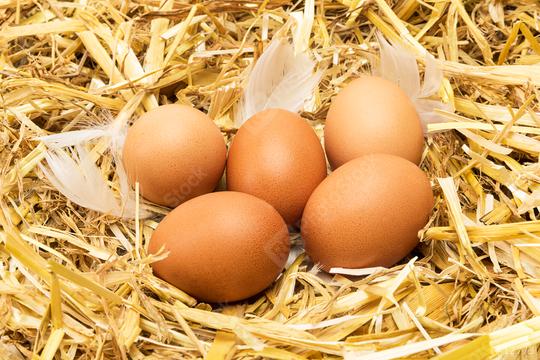 group of brown eggs in straw  : Stock Photo or Stock Video Download rcfotostock photos, images and assets rcfotostock | RC Photo Stock.:
