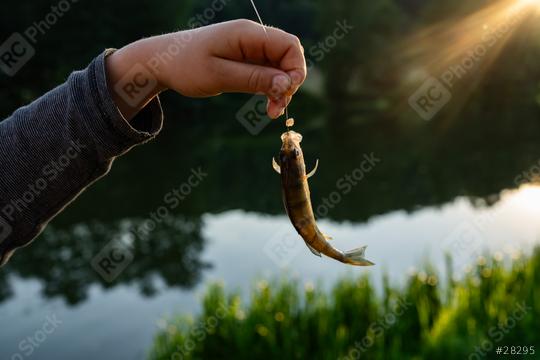 Hand holding a small fish on a line above a serene lake during sunset, with sunlight creating a vivid backdrop  : Stock Photo or Stock Video Download rcfotostock photos, images and assets rcfotostock | RC Photo Stock.: