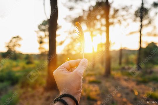 Hand Holding Bird Feather Wing on Bokeh Background with sun light rays. Spring time season.  : Stock Photo or Stock Video Download rcfotostock photos, images and assets rcfotostock | RC Photo Stock.: