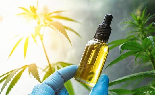 Hand holding bootle of biological and ecological herbal pharmaceutical cbd oil in a dropper at a Hemp farm. Concept of herbal alternative medicine, cbd oil, pharmaceutical industry  : Stock Photo or Stock Video Download rcfotostock photos, images and assets rcfotostock | RC Photo Stock.: