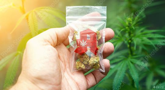 Hand showing Cannabis buds in a plastic bag with drugstore sign. Concept of herbal alternative medicine, cbd oil, pharmaceutical industry or illegal drug use  : Stock Photo or Stock Video Download rcfotostock photos, images and assets rcfotostock | RC Photo Stock.: