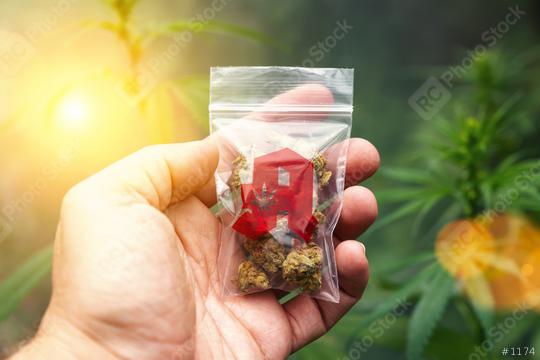 Hand showing Cannabis buds in a plastic bag with drugstore sign. Concept of herbal alternative medicine, cbd oil, pharmaceutical industry or illegal drug use  : Stock Photo or Stock Video Download rcfotostock photos, images and assets rcfotostock | RC Photo Stock.: