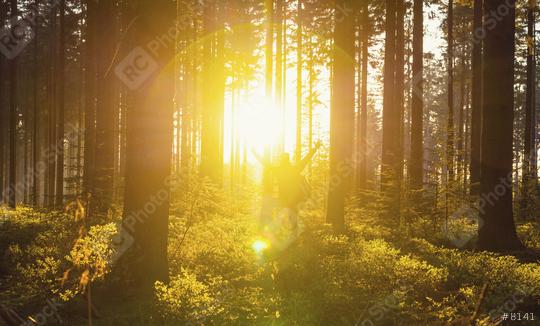 Happy young hiker raised hands at sunset in the woods - Travel Life Concept image  : Stock Photo or Stock Video Download rcfotostock photos, images and assets rcfotostock | RC Photo Stock.: