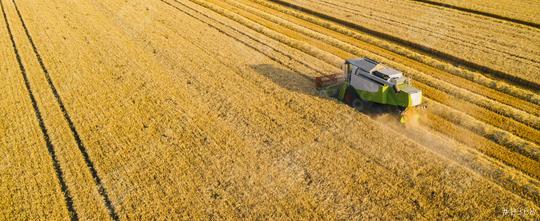 harvester on the wheat field from the top view, Drone Shot  : Stock Photo or Stock Video Download rcfotostock photos, images and assets rcfotostock | RC Photo Stock.: