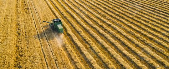 Harvesting wheat in summer. Combine harvester of an agricultural machine collects ripe golden wheat on the field. View from above.   : Stock Photo or Stock Video Download rcfotostock photos, images and assets rcfotostock | RC Photo Stock.: