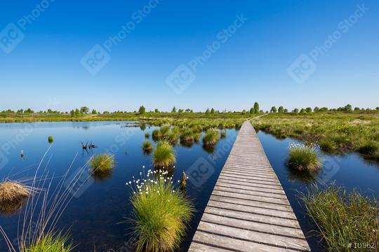 Hautes Fagnes bog landscape with lake at spring time  : Stock Photo or Stock Video Download rcfotostock photos, images and assets rcfotostock | RC Photo Stock.: