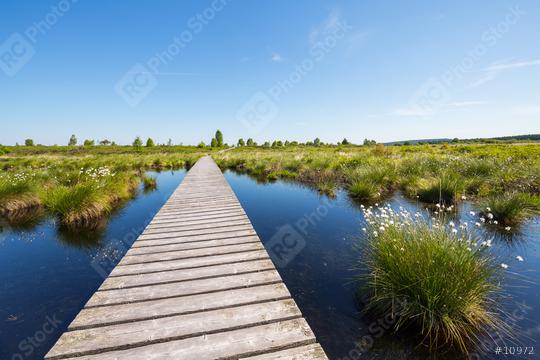 Hautes Fagnes (Hohes Venn) in spring time  : Stock Photo or Stock Video Download rcfotostock photos, images and assets rcfotostock | RC Photo Stock.: